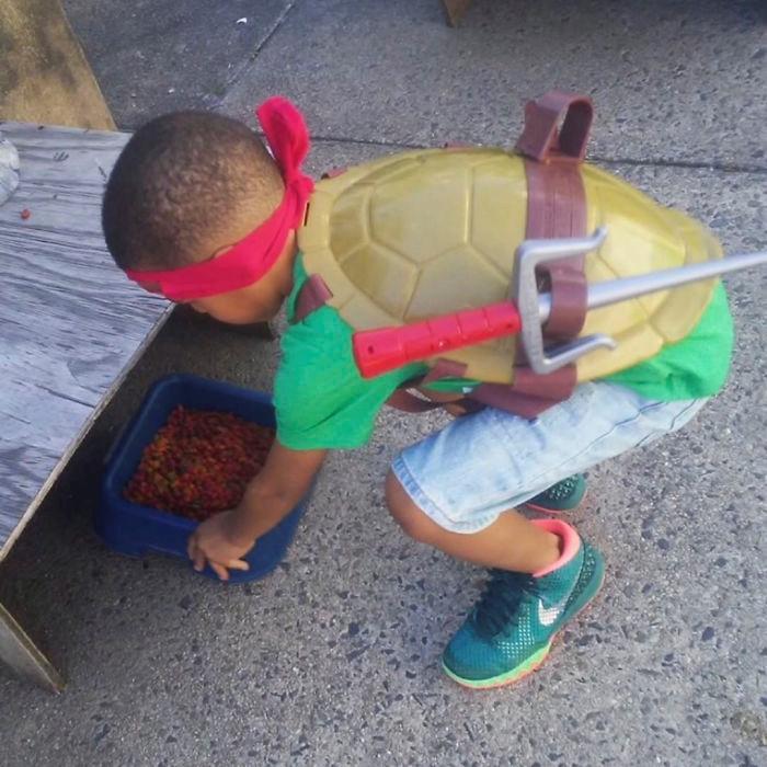 Cậu bé 5 tuổi có khả năng chăm sóc, chơi đùa cùng mèo hoang-3