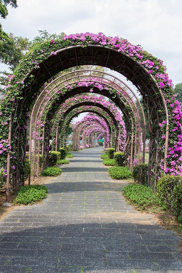 Những con đường phủ đầy hoa tươi như trong truyện cổ tích-14