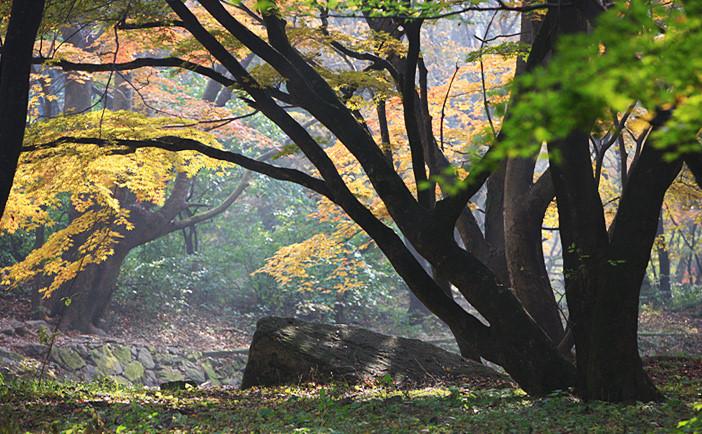 Những địa điểm lý tưởng để ngắm mùa thu ở Hàn Quốc-3