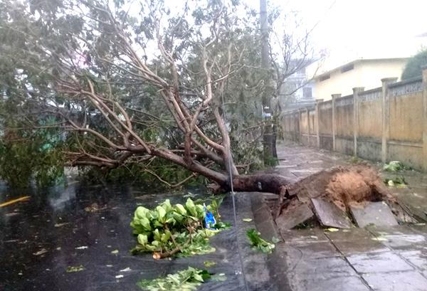 Lũ quét sau bão: Hình ảnh của cơn lũ lịch sử 20 năm trước-2