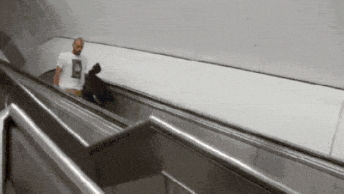 Gặp nạn với những màn nghịch dại không ai bằng-3