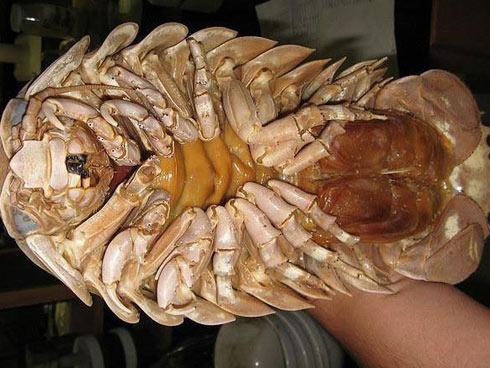 Hàng bún ở phố đi bộ Đài Loan gây sốt vì món ăn ngon mà cô chủ xinh như hotgirl-7