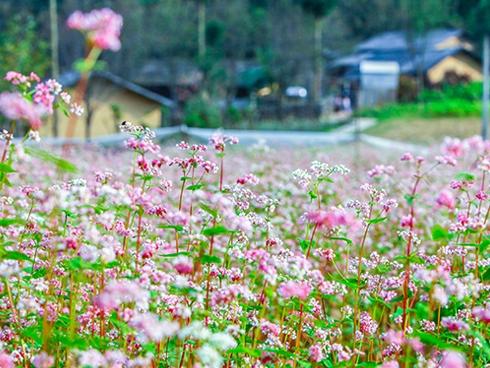 Những vùng đất chết chóc ít người dám bén mảng tới-5