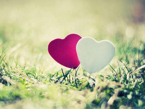 Tử vi thứ 3 ngày 7/11 của 12 cung hoàng đạo