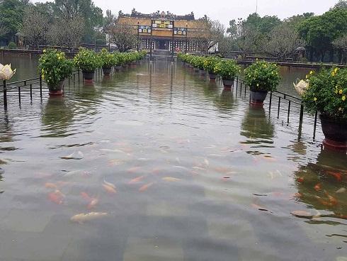 Mưu sinh trên phố ngập lũ ở Huế hốt bạc triệu mỗi ngày