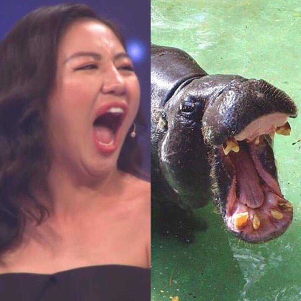 Những giọng ca thảm họa dọa cho loạt nghệ sĩ Việt hết hồn-1