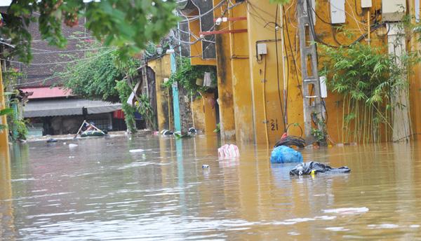 Nguồn rác thải trên chủ yếu là các vật dụng sinh hoạt của các hộ dân sống, kinh doanh trên các tuyến phố cổ Hội An bị hư hỏng sau đợt ngập lụt do cơn bão số 12 gây ra.