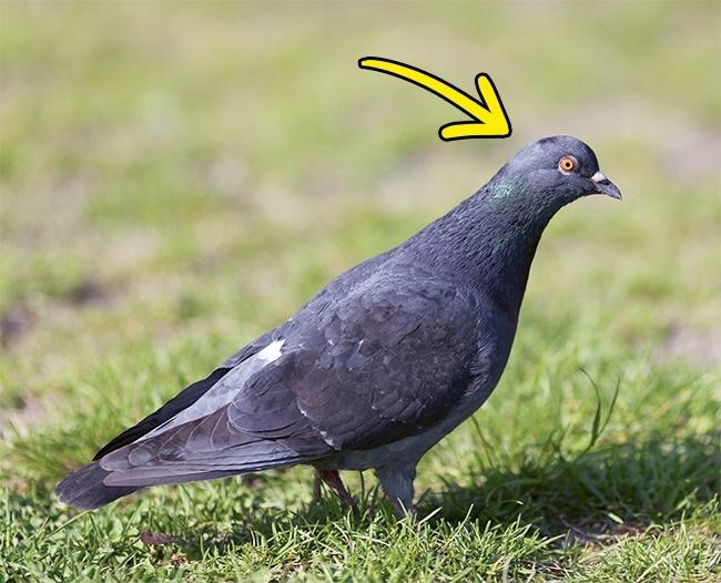 14 điều chẳng ai muốn tin nhưng nó vẫn cứ là sự thật, số 11 thật bất ngờ-1