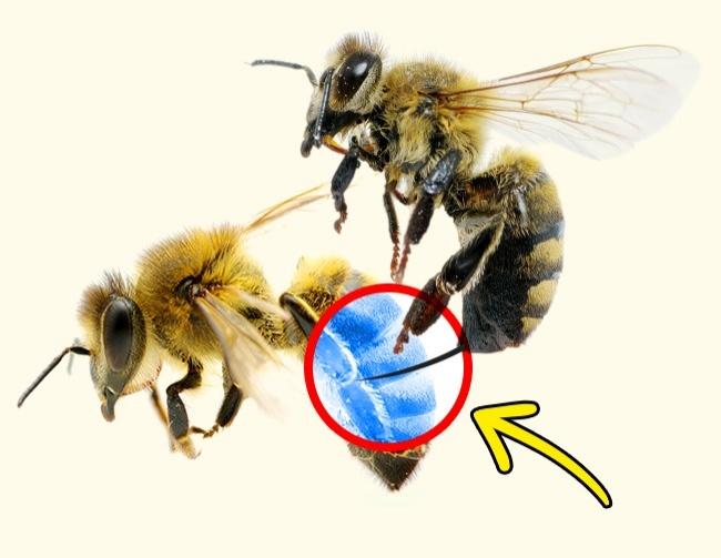 14 điều chẳng ai muốn tin nhưng nó vẫn cứ là sự thật, số 11 thật bất ngờ-10