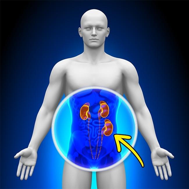 14 điều chẳng ai muốn tin nhưng nó vẫn cứ là sự thật, số 11 thật bất ngờ-3