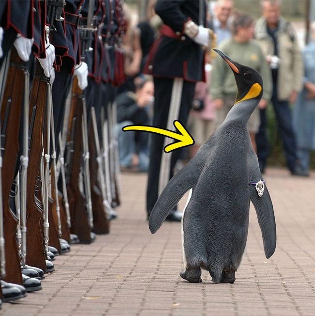 14 điều chẳng ai muốn tin nhưng nó vẫn cứ là sự thật, số 11 thật bất ngờ-4