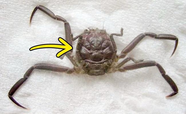 14 điều chẳng ai muốn tin nhưng nó vẫn cứ là sự thật, số 11 thật bất ngờ-7