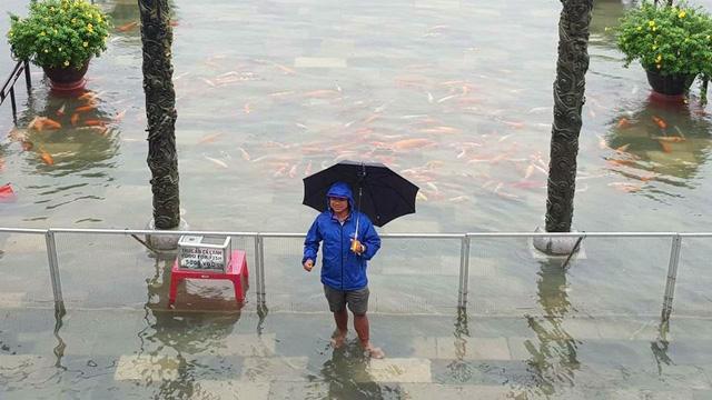 Hàng trăm con cá cảnh ở Hoàng Cung Huế... lên cầu bơi lội-2