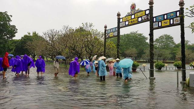 Hàng trăm con cá cảnh ở Hoàng Cung Huế... lên cầu bơi lội-7