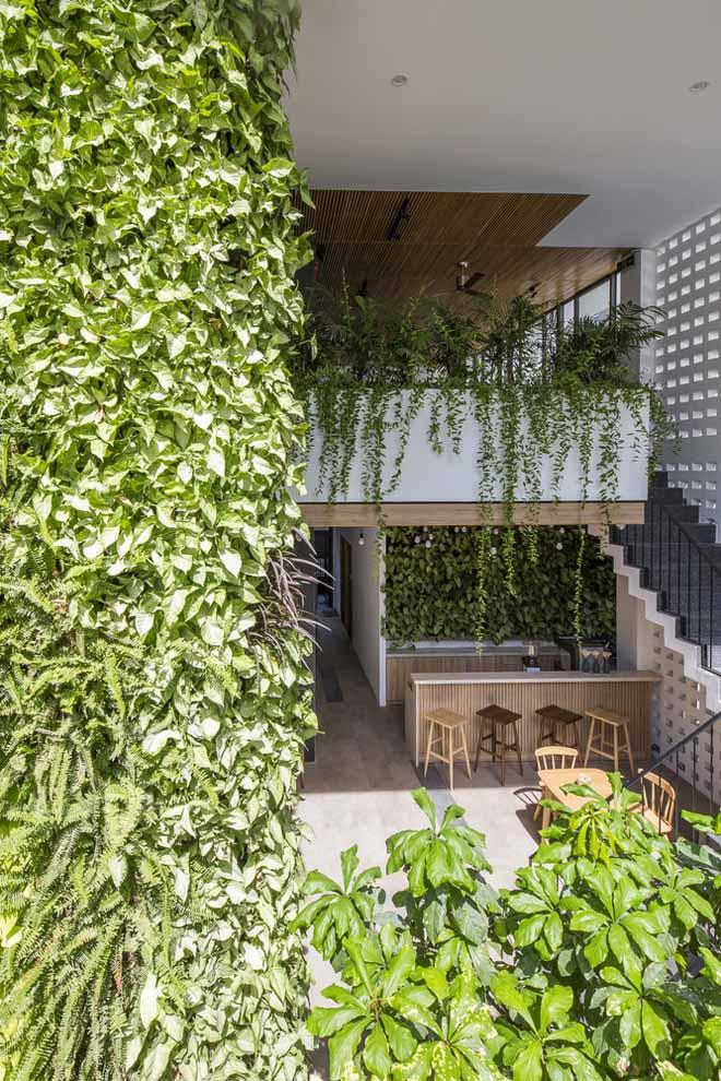 Khách sạn vườn treo độc nhất vô nhị ở Đà Nẵng khiến ai đi qua cũng không thể rời mắt-6