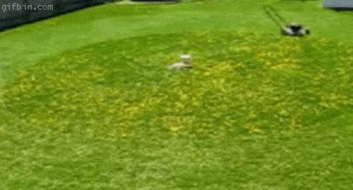 Người lười biếng là những... thiên tài-2