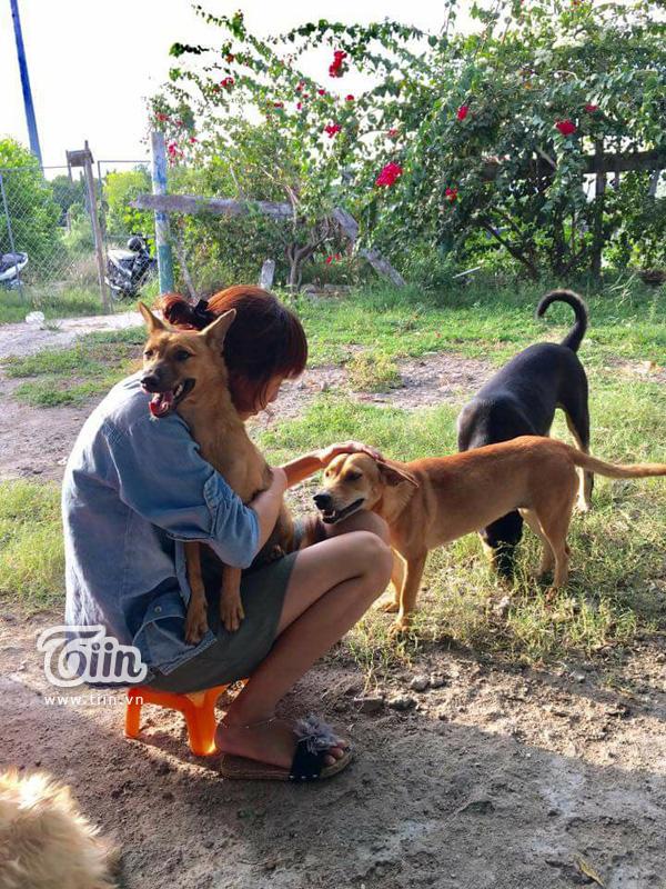 20 chú chó được cứu trong bão vẫn đang xoay xở kiếm thức ăn-3