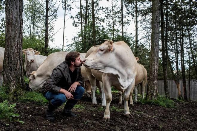 3 loại thịt bò đắt hơn vàng, siêu quý hiếm mà ai cũng muốn nếm thử một lần-2