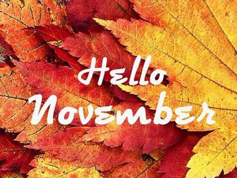 Số lượng hoa tay nói gì về tính cách của bạn?-4