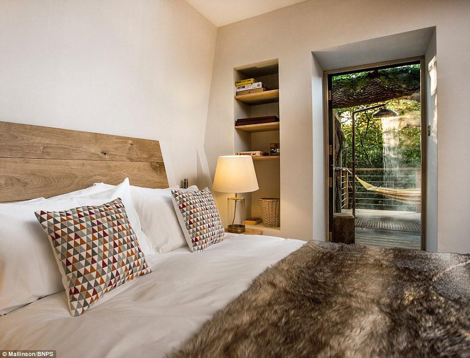 Ngôi nhà trên cây sang trọng ở Anh-2