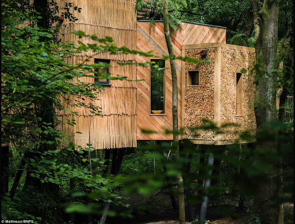 Ngôi nhà trên cây sang trọng ở Anh-6