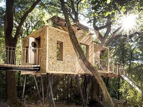 Ngôi nhà trên cây sang trọng ở Anh