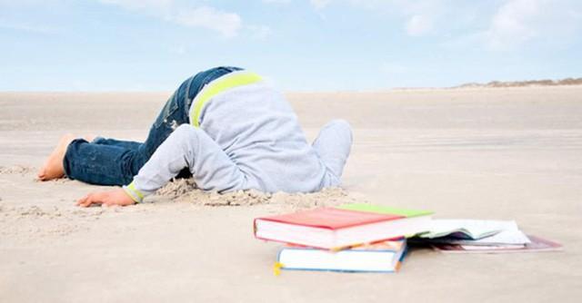 Nghịch lý về sinh viên cá biệt: Chơi giỏi, học kém nhưng nhiều người thành công hơn ở trường đời-1