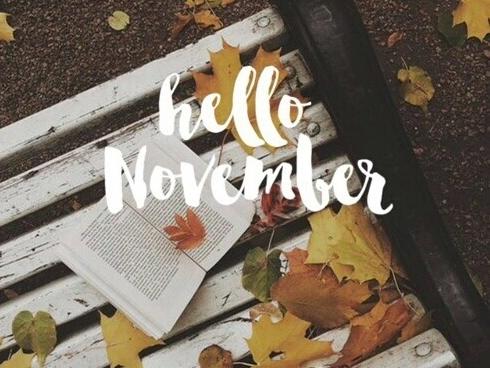 Tháng 11 này, 5 cung Hoàng đạo sau sẽ có tình yêu ngọt ngào và thăng hoa