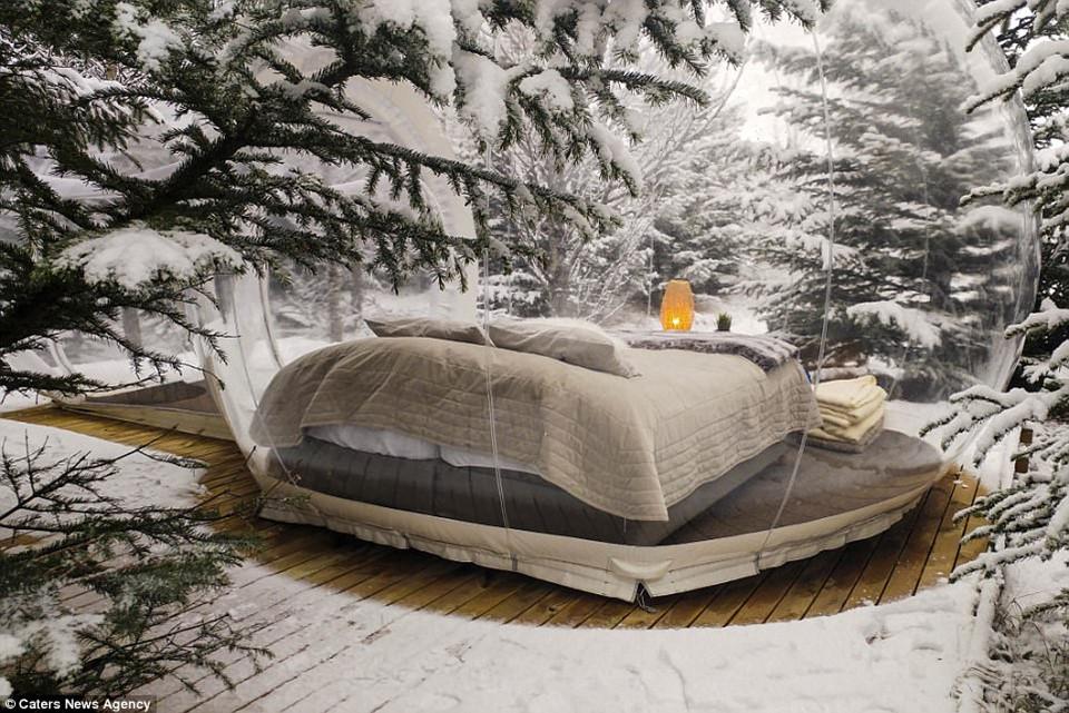 Trải nghiệm phòng khách sạn trong suốt ở Iceland-1