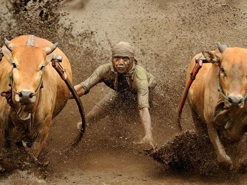 Những lễ hội mùa thu hoạch nổi tiếng trên thế giới