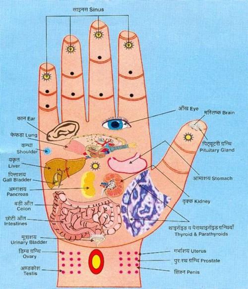 Một điểm trên bàn tay bị đỏ: Dấu hiệu cảnh báo bệnh gan không thể xem nhẹ-1