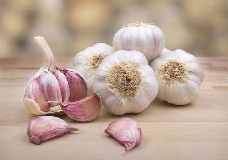 Cách ngâm tỏi mật ong giúp làm đẹp da-1