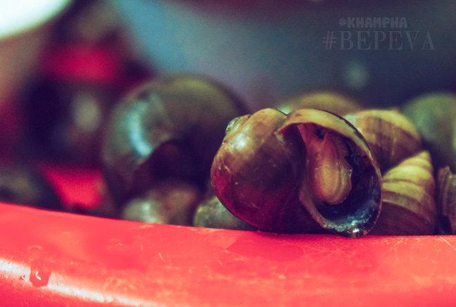 Từ sở thích của con gái, quán ốc Đinh Liệt đã sống suốt 22 năm, mỗi ngày bán 3 tạ-3