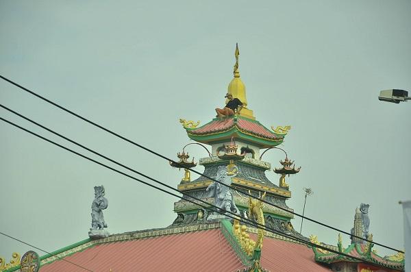 Cảnh sát leo nóc chùa khống chế thanh niên ngáo đá-1