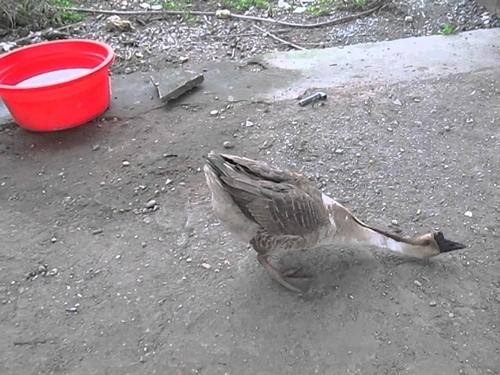 Món quà bất ngờ tại câu lạc bộ thoát y vũ-2