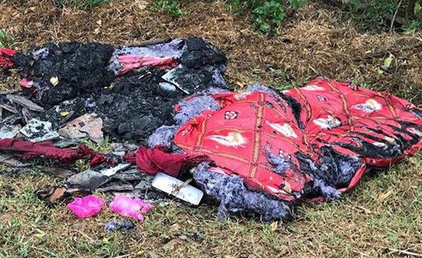 Mẹ cắm sạc pin điện thoại rồi cùng con nhỏ đi thể dục, sạc nổ thiêu rụi cả căn nhà-2