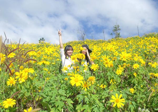 Lên cao nguyên ngắm lễ hội hoa dã quỳ-1