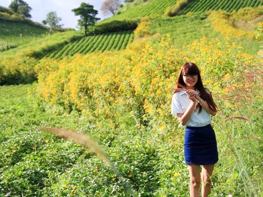 Lễ hội hoa dã quỳ: Hàng ngàn du khách thất vọng vì chỉ thấy hoa tàn lụi-7