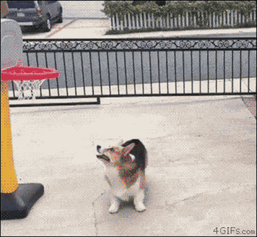 Đã đến lúc lũ boss thống trị Trái Đất rồi sao?-2