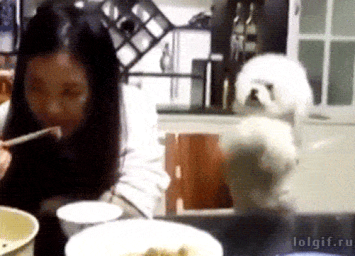 Đã đến lúc lũ boss thống trị Trái Đất rồi sao?-3