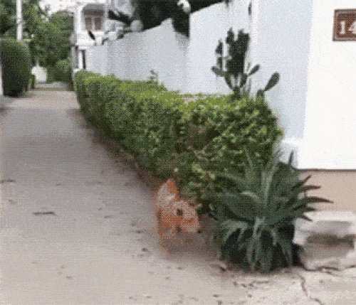 Đã đến lúc lũ boss thống trị Trái Đất rồi sao?-4