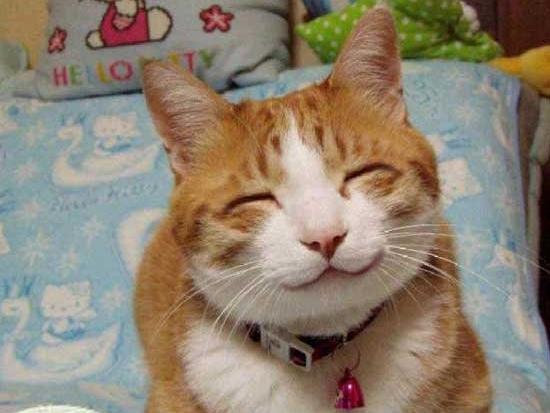 Đã đến lúc lũ 'boss' thống trị Trái Đất rồi sao?