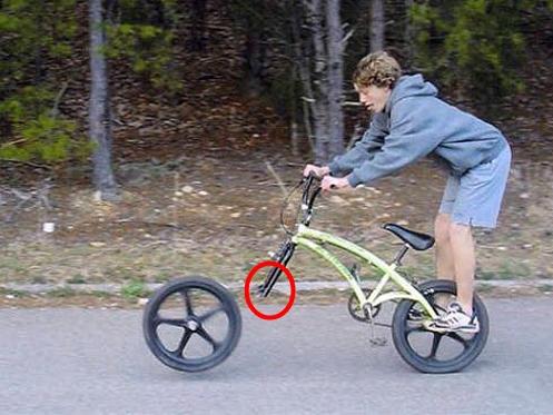 Tom và Jerry phiên bản đời thật vẫn hài như phim-8