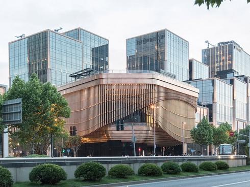 Biển hoa cải vàng ngút tầm mắt ở Trung Quốc-9