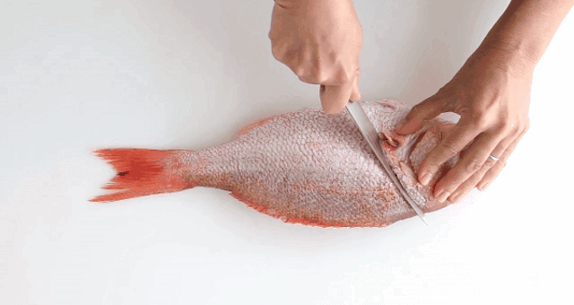 Phi lê cá chỉ với vài bước đơn giản khiến nhiều chị em không thể ngờ-3