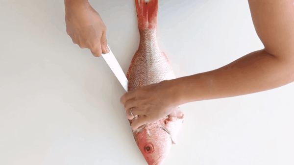 Phi lê cá chỉ với vài bước đơn giản khiến nhiều chị em không thể ngờ-4