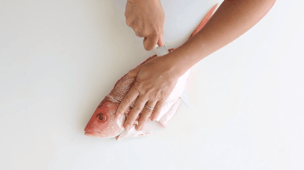 Phi lê cá chỉ với vài bước đơn giản khiến nhiều chị em không thể ngờ-5