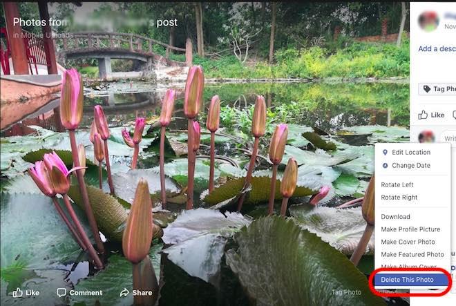 3 cách xóa status, hình ảnh trên Facebook khi nút Delete không còn-3