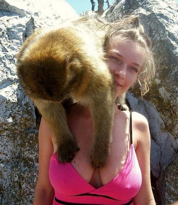 Bắt quả tang đám động vật có máu dê xồm-3