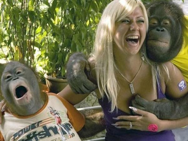 Bắt quả tang đám động vật có máu dê xồm-11